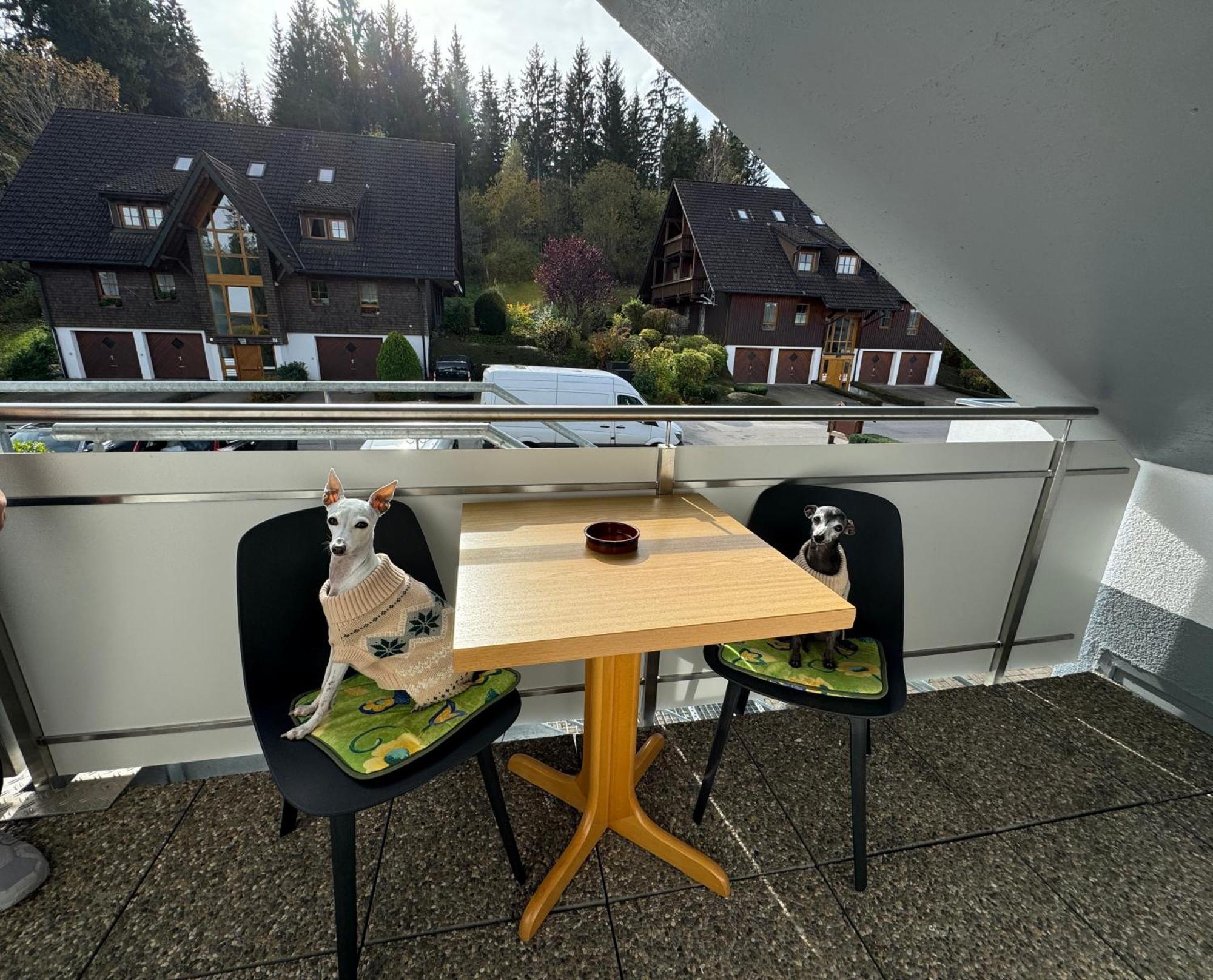 Ferienhaus Frei 4 Compact Hinterzarten Exteriér fotografie