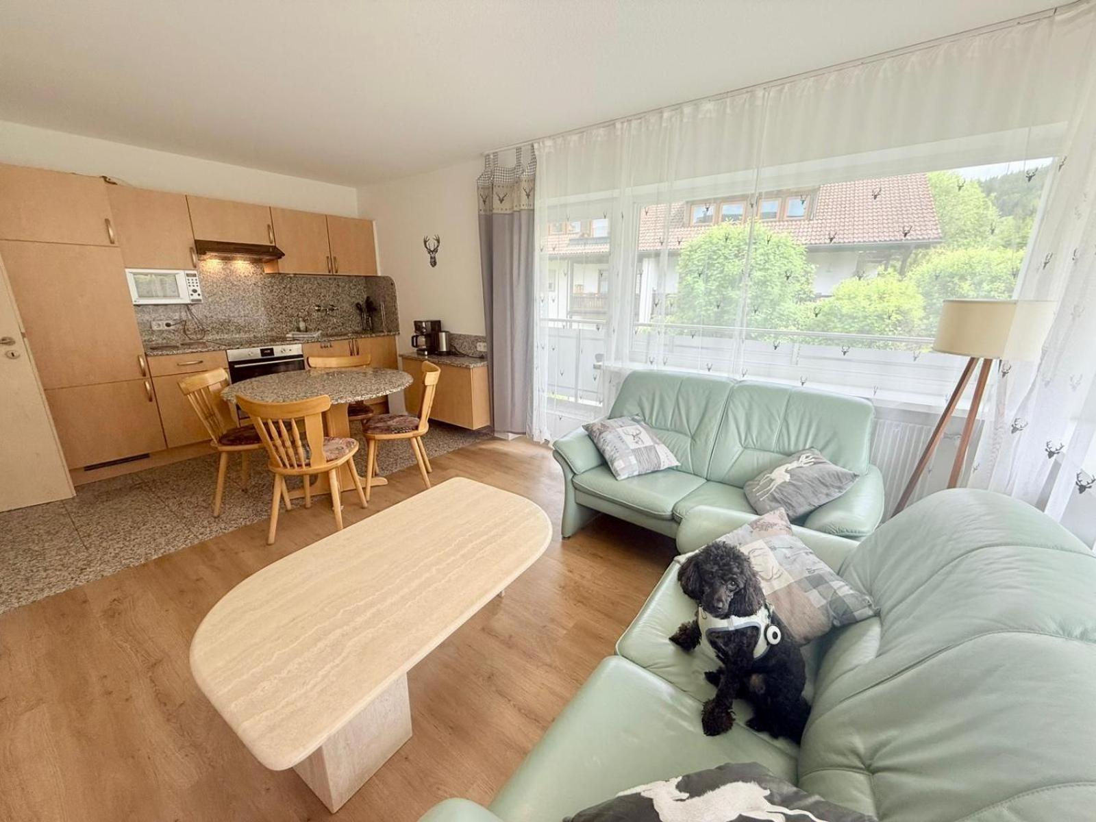 Ferienhaus Frei 4 Compact Hinterzarten Exteriér fotografie